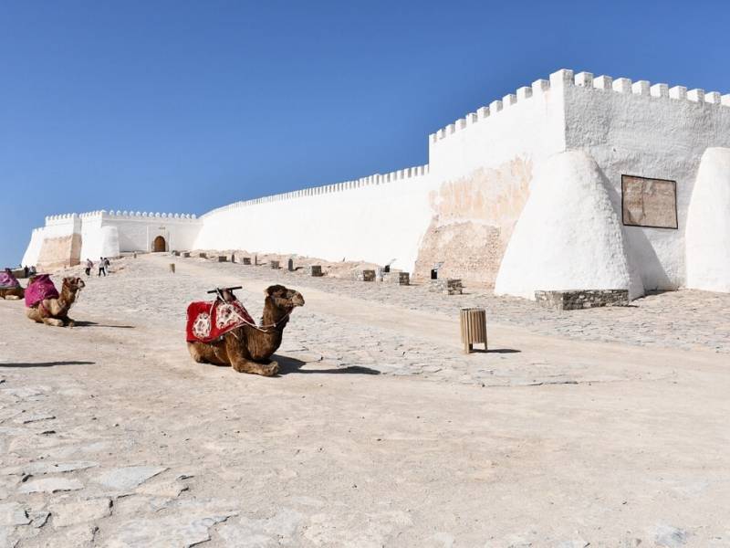 kasbah-oufella-Agadir-chameaux